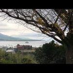 自然の摂理(原理原則)
