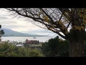 自然の摂理（原理原則）