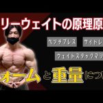 シャイニー薊流 フリーウェイト・マシンで使える原理原則